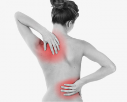 Ms. Back Pain, Lumbago, Pain, Back Pain PNG Image and Clipart for ...