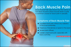 Back Muscle Pain: Treatment, Causes, Symptoms | Muscle pain, Muscles ...