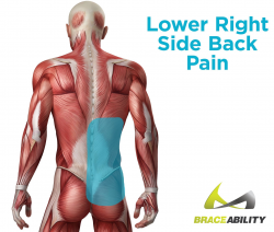 Right Side Back Pain | Body workouts, Healthy living and Workout
