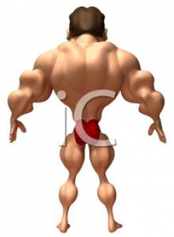 A 3d Cartoon of a Male Boy Builder Flexing His Back Muscles ...