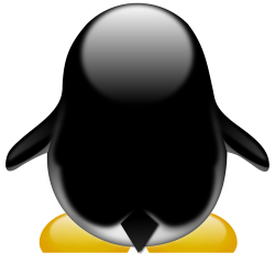 Club Penguin Tux Computer Icons Download under CC0 is about ...