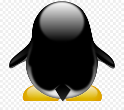 Penguin Tux Cartoon Clip art - Cheer Megaphone Clipart 800*800 ...