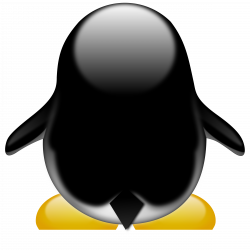 Penguin clipart back - Pencil and in color penguin clipart back