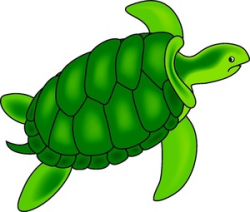 Sea Turtle Clipart Image - Green sea turtle swimming underwater