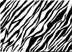 Black And White Zebra Print Background Clip Art at Clker.com ...