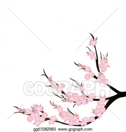 Stock Illustration - Cherry blossom branch over white background ...