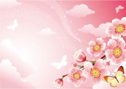 Free Cherry Blossom Background Clipart and Vector Graphics - Clipart.me