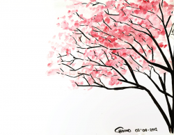 Sakura Blossom clipart tumblr backgrounds - Pencil and in color ...