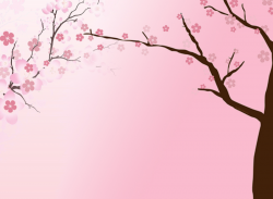 Free Cherry Blossom Backgrounds For PowerPoint - Flower PPT Templates