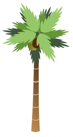 Coconut Palm Tree White Background Clip Art at Clker.com - vector ...