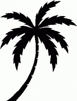 Palm Tree Clipart Black and White No Background | How To Format ...