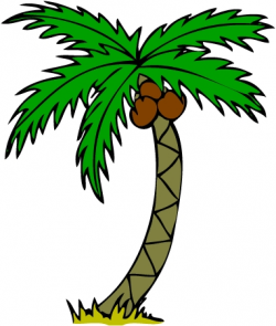 Palm Tree Clip Art Palm Tree Clip Art Transparent Background Clipart ...