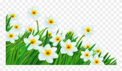 Daffodil Clipart Spring Break 2 Clip Art Free - Transparent ...
