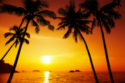 Beach Sunset Background | Gallery Yopriceville - High-Quality ...