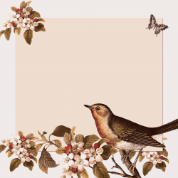 Clipart - Vintage Bird And Floral Background