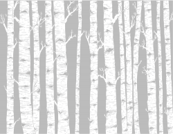 woodland clipart background - Google Search | BABY SHOWER ...