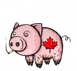 Canadian Bacon by KinzokuEnjeru on DeviantArt