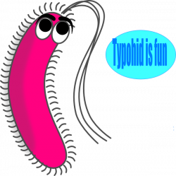 Modified Funny Bacteria Clip Art at Clker.com - vector clip art ...