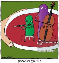 Petri Dishes Cartoons and Comics - funny pictures from CartoonStock