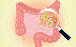 Growth Rate of Bacteria in Gut May Signal Disease – Experience Life
