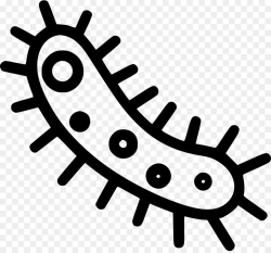 Petri Dishes Bacteria Computer Icons Biology Clip art - science png ...