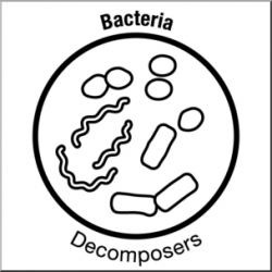 Clip Art: Soil Ecology Icons: Bacteria B&W I abcteach.com | abcteach