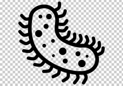 Bacterial Disease Microscope Computer Icons PNG, Clipart ...