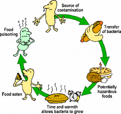 Understanding Food Poisoning (Foodborne Illness) | JeffreySterlingMD.com