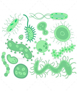 34 best Bacterias images on Pinterest | Bacteria cartoon, Animation ...