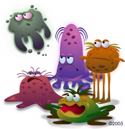 germs vs bacteria - Incep.imagine-ex.co