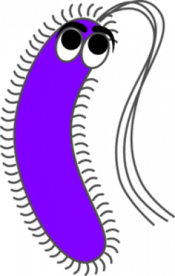Bacteria Funny Clip Art at Clker.com - vector clip art online ...