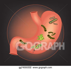 Vector Art - Human stomach with germs . Clipart Drawing gg74555332 ...