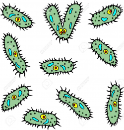 Bacteria clipart - Pencil and in color bacteria clipart