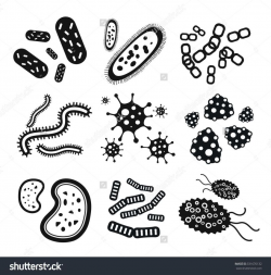Unbelievable Bacteria Clipart Microbiology Pics For Coloring Page ...
