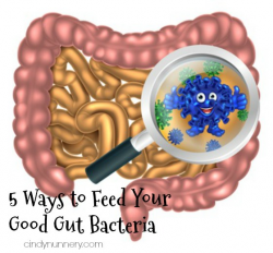 5 Ways to Improve Gut Bacteria | Powered By Nutrition