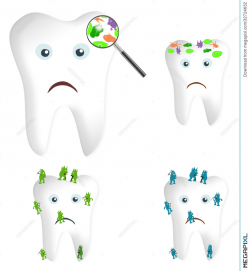 Tooth Germs And Bacteria Illustration 32724632 - Megapixl