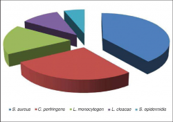 Microbial profile in women with puerperal sepsis in Gadarif State ...