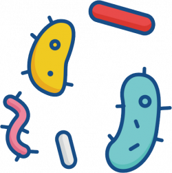 Bacteria PNG images free download