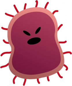 Bacteria PNG images free download