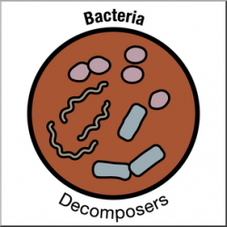 Clip Art: Soil Ecology Icons: Bacteria Color I abcteach.com | abcteach