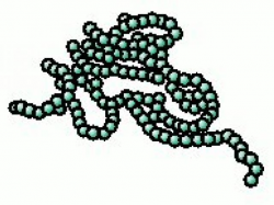 Bacteria Clipart - Free Clipart on Dumielauxepices.net