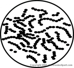 Bacteria clipart ae streptococcus bw - ClipartPost