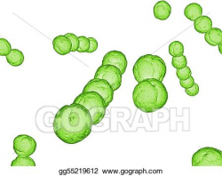 Stock Illustration - Streptococcus . Clipart Drawing ...