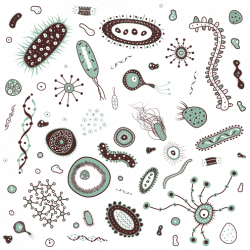 Download Bacteria PNG Images - Free Transparent PNG Images, Icons ...