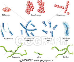 Vector Art - Bacteria. EPS clipart gg66063697 - GoGraph
