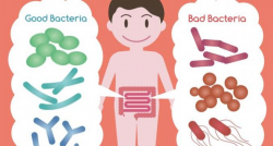 Did you know gut bacteria could affect your weight and health ...