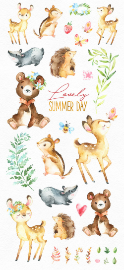 Lovely Summer Day. Forest animals clip art, watercolor, chipmunk ...