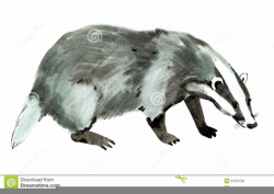 Badger Clipart | Free Images at Clker.com - vector clip art online ...