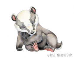 Baby Badger Art Badger Art Print Badger Nursery Art Little