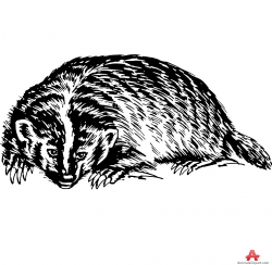 Badger Lying Down | Free Clipart Design Download